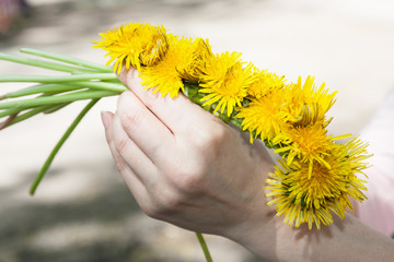 Female hands weave a wreath of dandelions in a sunny spring day