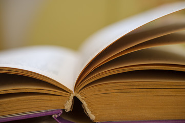 Pages of an old open book