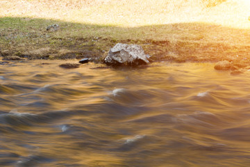 the river flows, nature summer, close-up