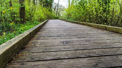 wooden footpath
