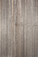 Fototapeta premium The relief texture of the surface of the old wooden board with poor processing, the expressive direction of the wood fibers and the cutoff point of the knot