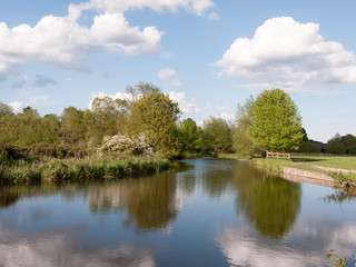 Fototapeta na wymiar a beautiful country scene in the summer's afternoon outside on a lake and river with trees reflected in it in the uk essex of england with no people walking location and holiday