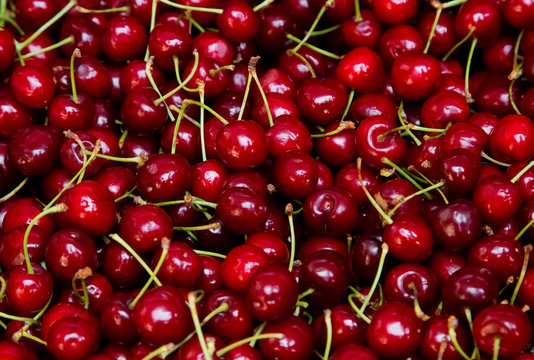 Background from fresh cherries with a twig