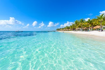 Crédence de cuisine en verre imprimé Plage et mer Plage d& 39 Akumal - Paradise Bay Beach à Quintana Roo, Mexique - côte des Caraïbes