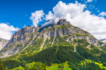 Fototapeta premium View of Mattenberg from Grindelwald, Swiss Alps. 