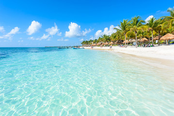 Akumal beach - paradise bay  Beach in Quintana Roo, Mexiko - caribbean coast - obrazy, fototapety, plakaty