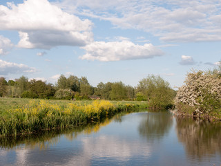 an incredible river running through the country location and landscape outside in the country with reflections in the lake and lots of color on a summer afternoon in essex uk england and no people
