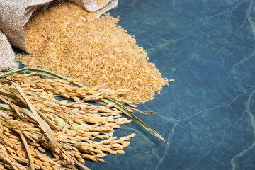 Spike rice and brown rice