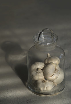 Garlic 