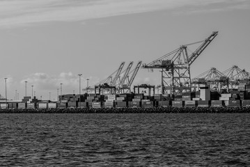 Cranes in Long Beach