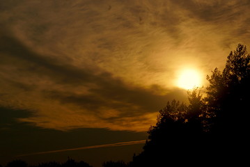 Fototapeta premium Beautiful sunset in the forest. The enchanting beauty of nature