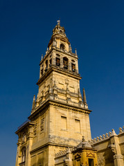 Fototapeta na wymiar Tower-Bell tower of the Cathedral of Cordoba.