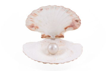Open seashell with pearl on white isolated background