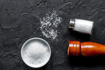 Spices set with salt and saltcellar for cooking on stone background top view