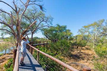 Tourist looking at panorama with binocular from viewpoint over the Olifants river, scenic and colorful landscape with wildlife in the Kruger National Park, famous travel destination in South Africa.