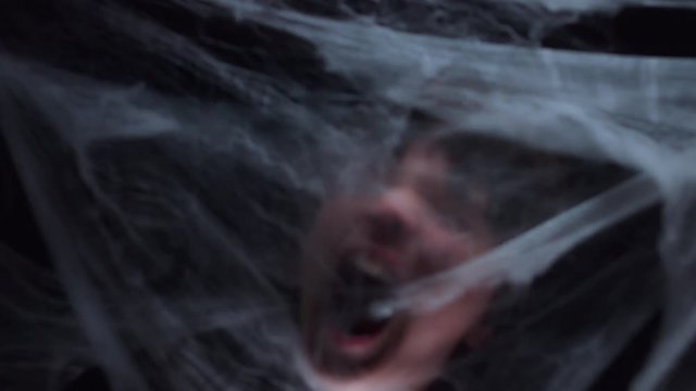 4K Halloween Horror Spider Web and Face Screaming