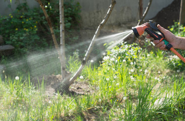 Man watering from a hose plants in the garden