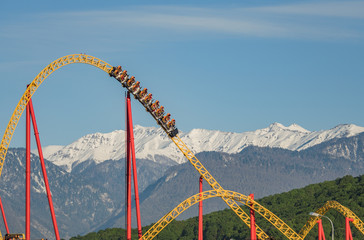 Sochi Park roller coaster ride