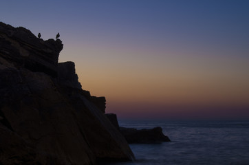 Fortunati osservatori