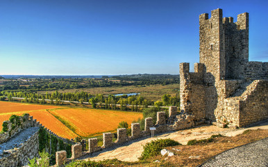 Fototapeta na wymiar Ruined castle of Montemor-o-Velho, Portugal