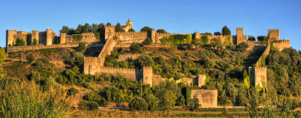 Ruined castle of Montemor-o-Velho, Portugal