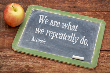 We are what ... Aristotle quote