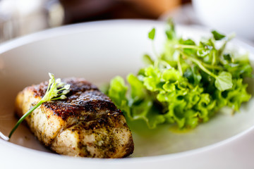 Lunch plate