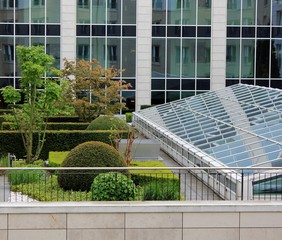 Beautiful roof garden surrounded by glass buildings
