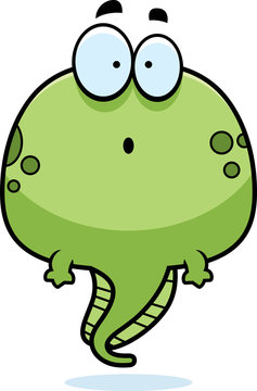 recommend clip art: Surprised Cartoon Tadpole