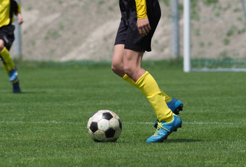 Fototapeta premium サッカー フットボール