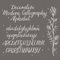 Handwritten vector font. Hand drawn brush style alphabet. Modern calligraphy