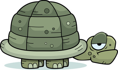 Cartoon Turtle - 152494208