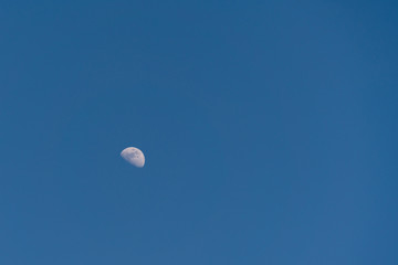 Half moon rising in a day blue sky