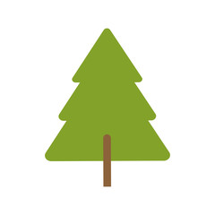pine tree icon image vector illustration design 