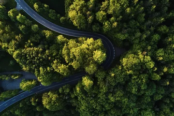 Tableaux ronds sur plexiglas Arbres rue entre de grands arbres du haut avec vue aérienne de drone, paysage