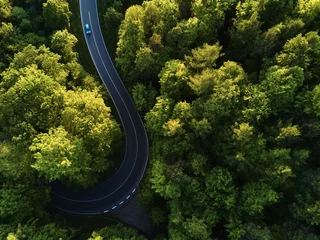 Türaufkleber Bäume Straße zwischen großen Bäumen von oben mit Drohnen-Luftbild, Landschaft