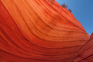 Wave Abstract
