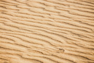 Lines in the sand of a beach, close up