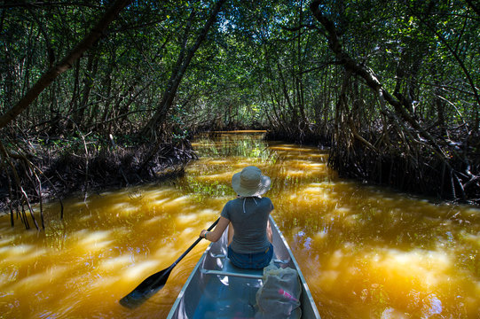 Everglade Paddle