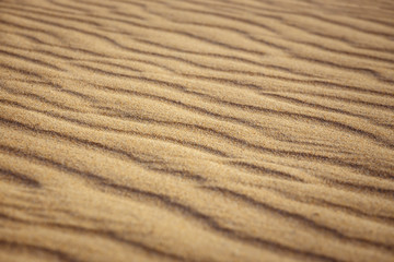 Lines in the sand of a beach, close up