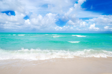 Fototapeta premium Miami tropical beach, blue sky and ocean, Florida, USA