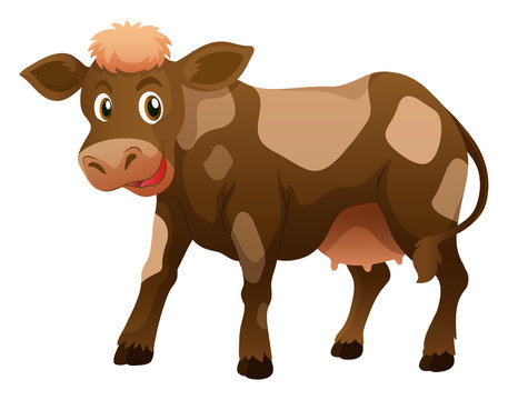 Cow with brown skin