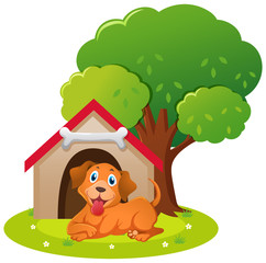 Obraz na płótnie Canvas Little dog sitting in the doghouse
