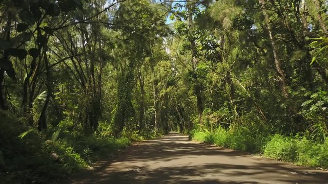 Going down a narrow dirt road through thick tropical forest in Hawaii.