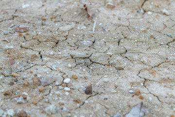 The clay cracked texture because of hot weather.