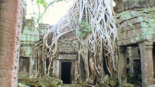 Tomb Raider Temple