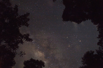 Starry sky