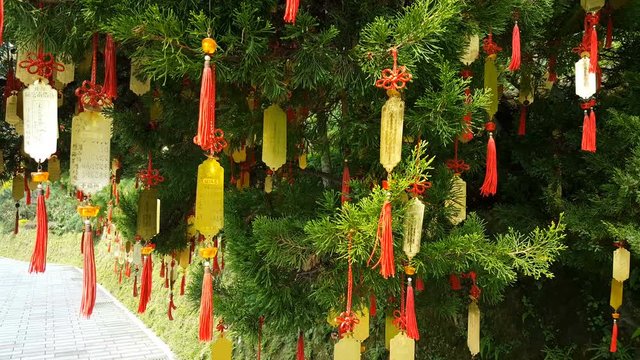 Taiwanese wishing tree with colorful pendants