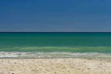 Perfect Day at the Beach