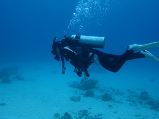 スキューバダイビング